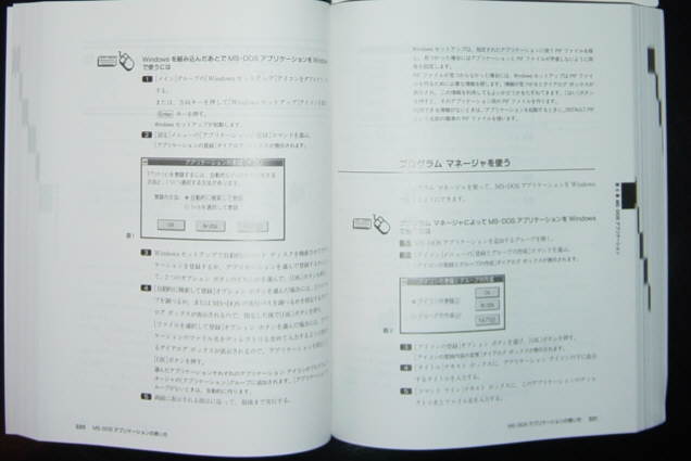 Windows 3.1